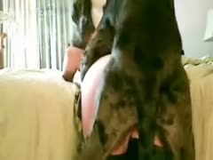 Video shows dog fucking a woman